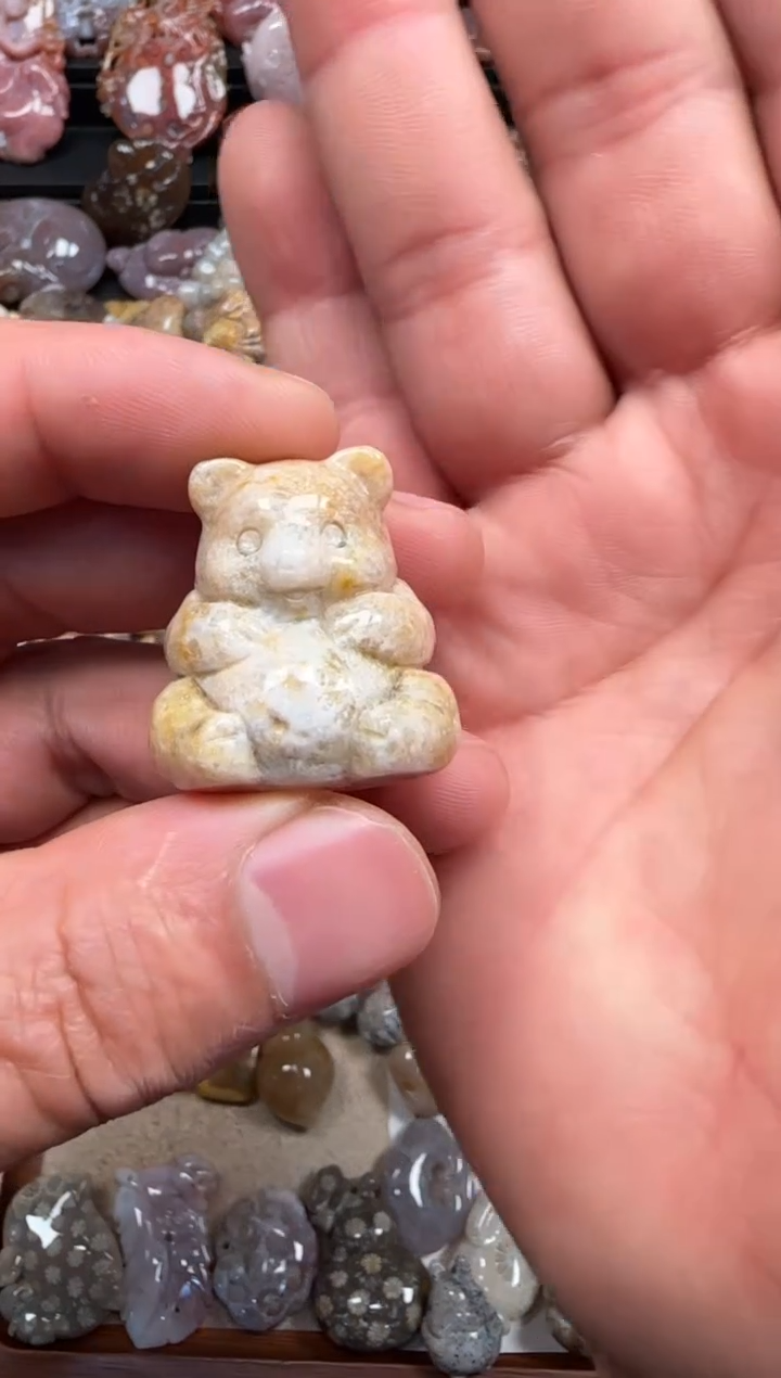 【闪购商品】硅化珊瑚（珊瑚玉）颈饰未镶嵌075