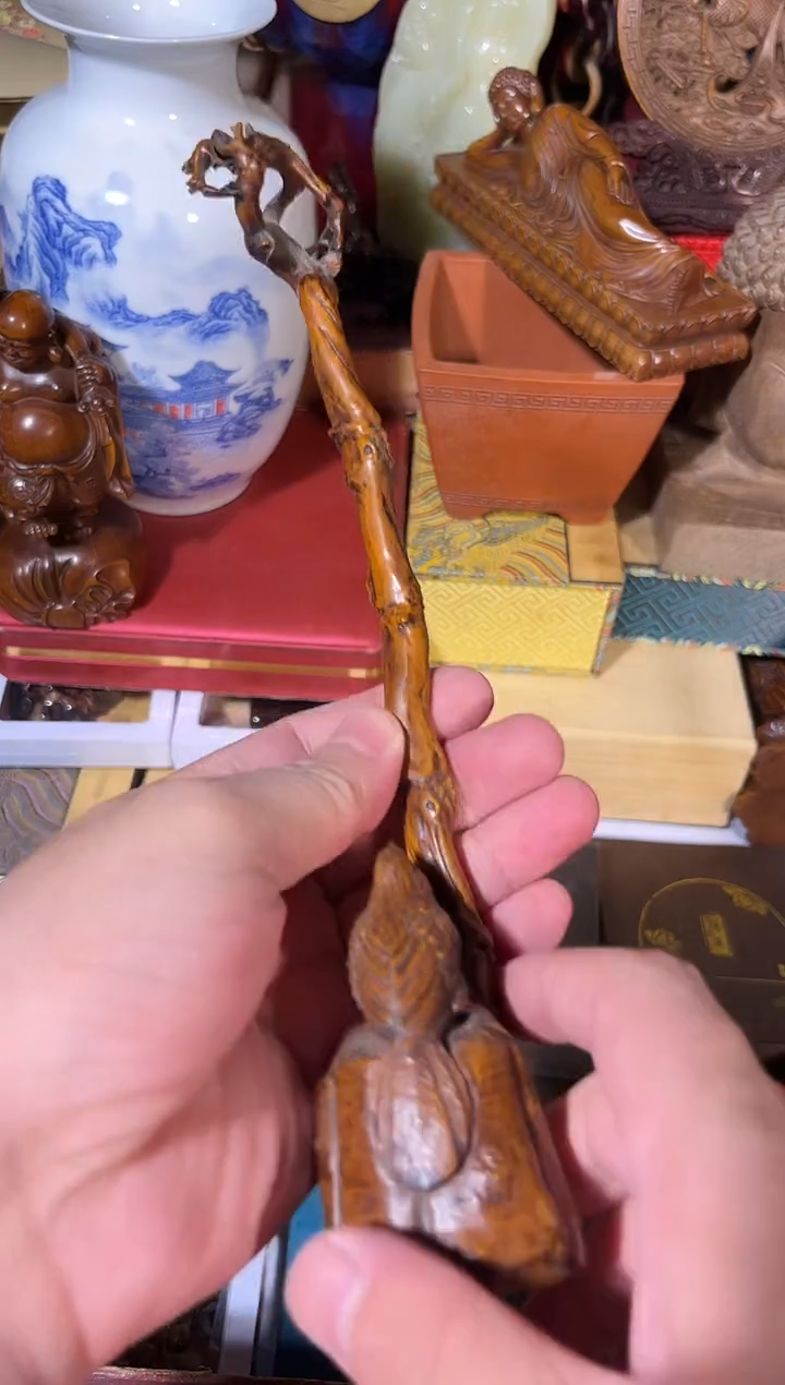 黄杨木111111111111111111