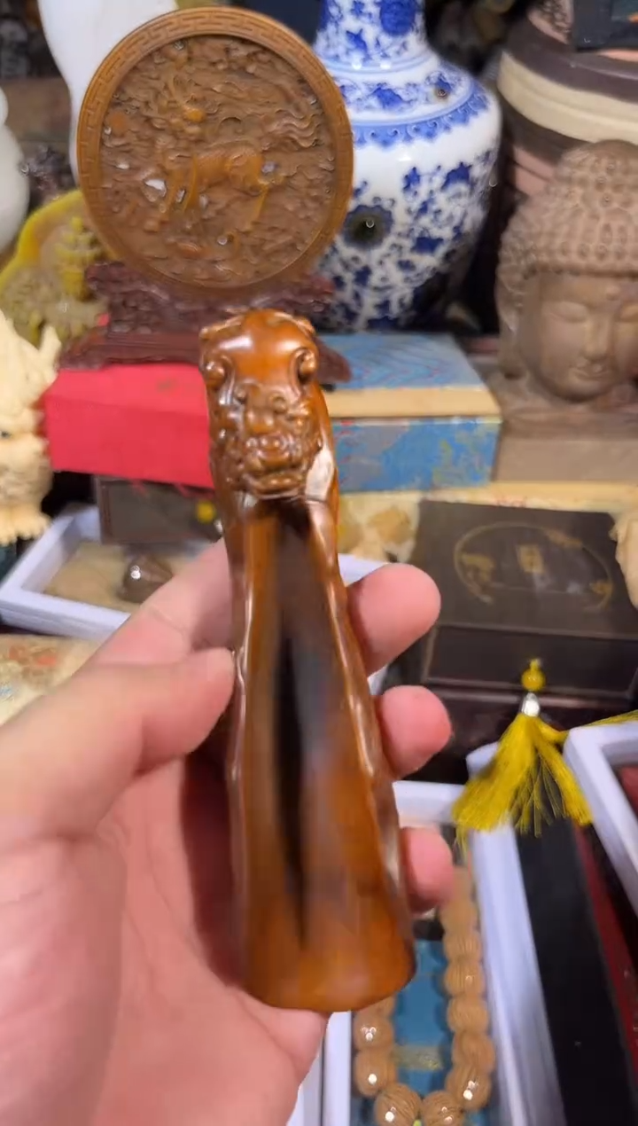 黄杨木111111111111111