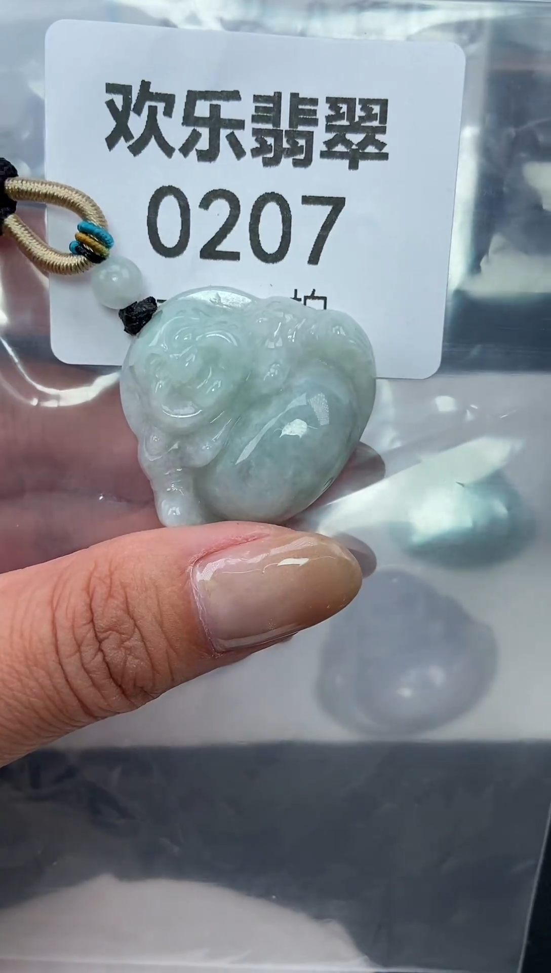 颈饰未镶嵌翡翠缅甸天然翡翠0207