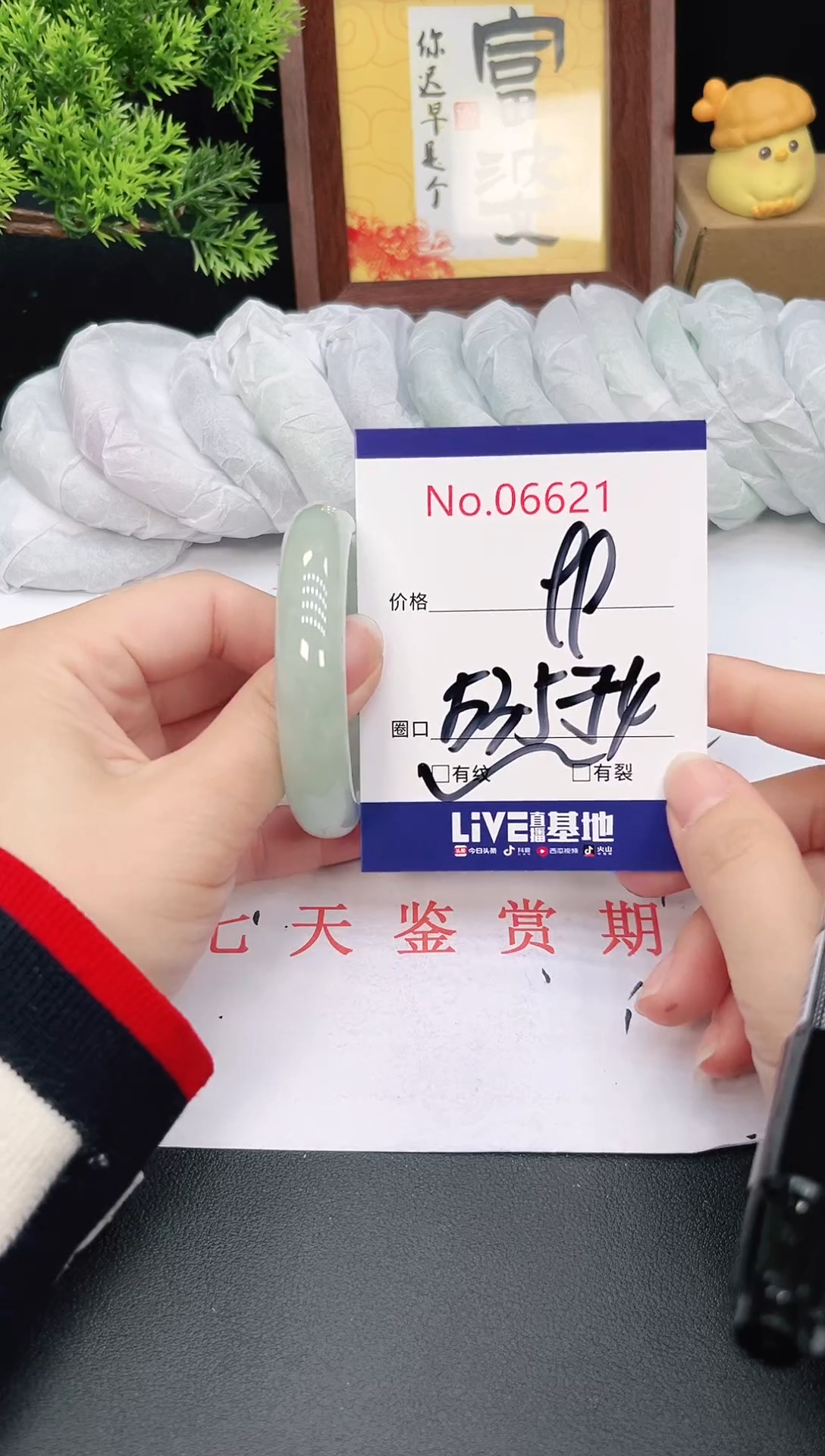 未镶嵌手镯翡翠6621