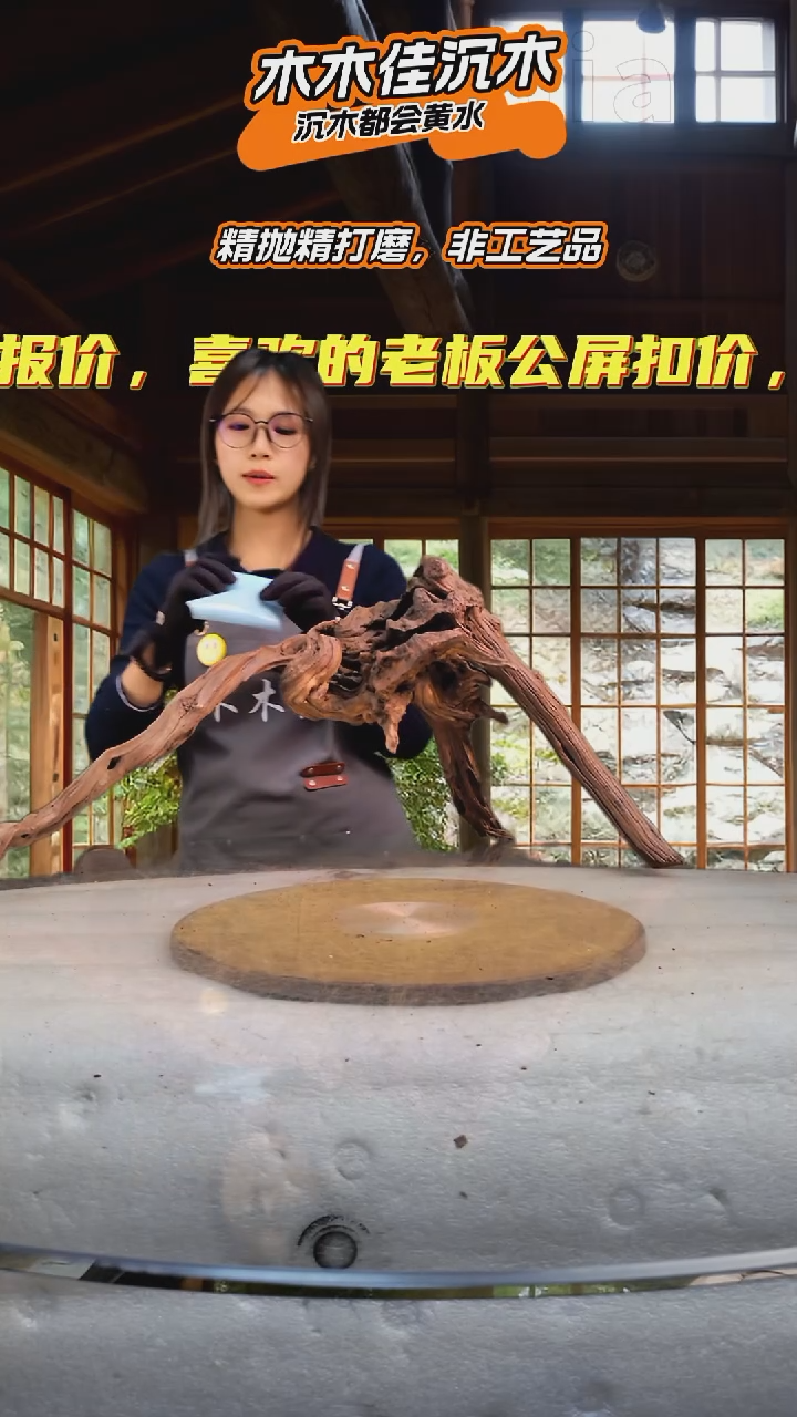 暴**子木木佳沉木鱼缸造景-951