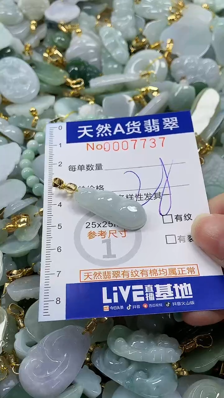 颈饰未镶嵌翡翠纯天然a货翡翠