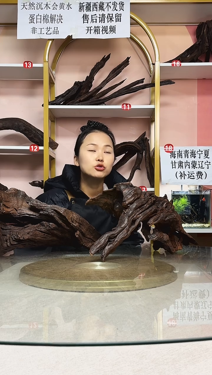 阳***_鱼缸造景沉木A979