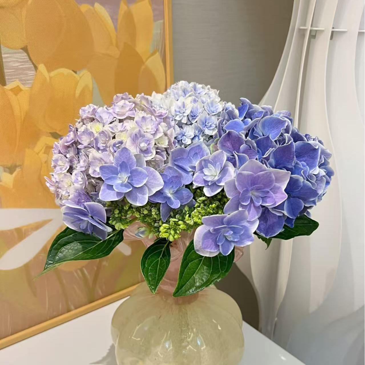 奇妙仙子绣球花稀有品