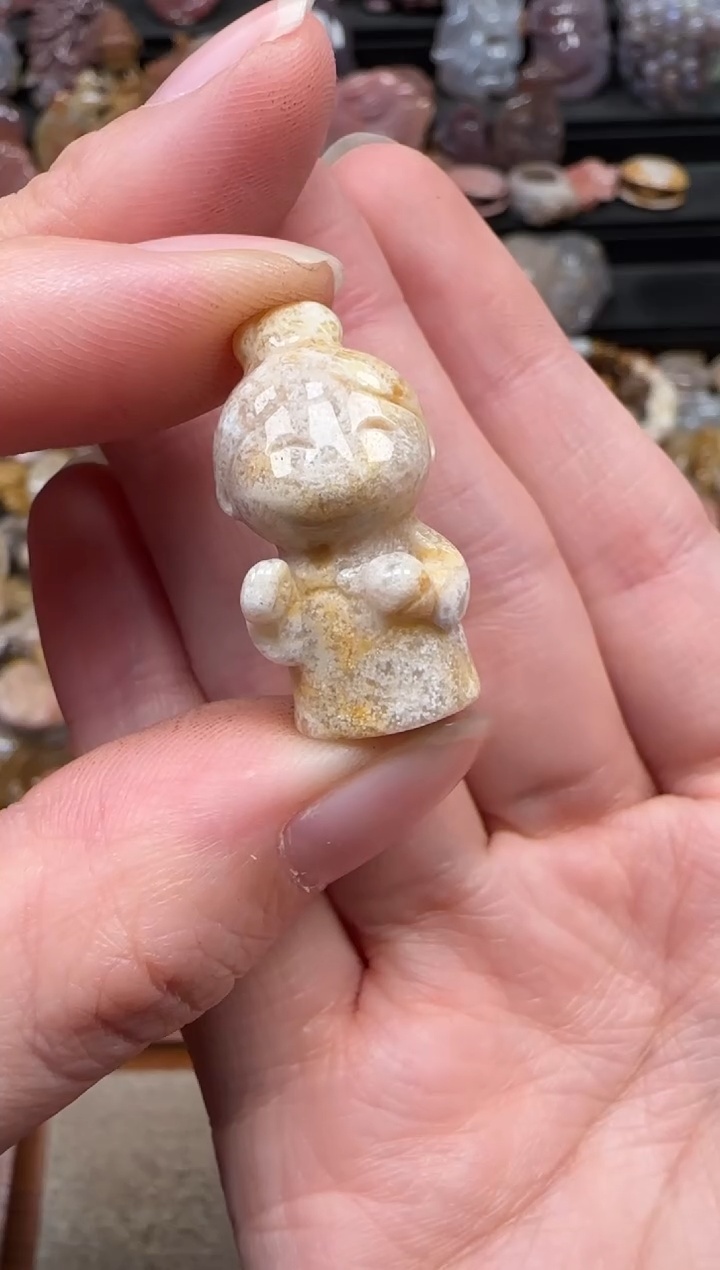 颈饰未镶嵌硅化珊瑚（珊瑚玉）368