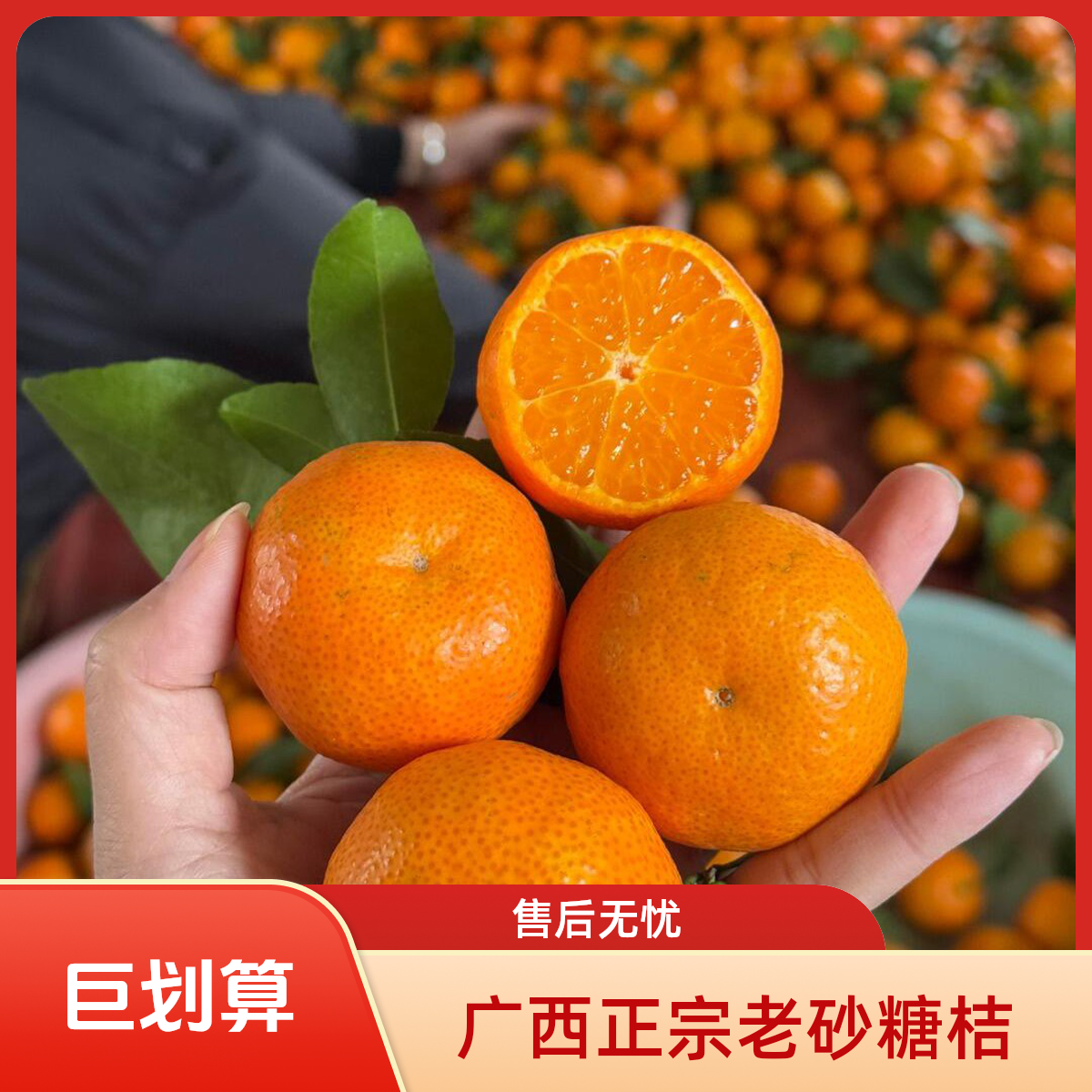 【京东顺丰包邮】广西桂林砂糖橘皮薄肉厚汁多正宗老沙糖桔新鲜采摘发货应季鲜果广西壮族自治区