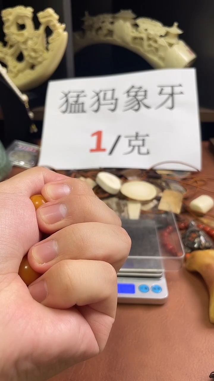 猛犸袅袅16m圆珠单颗