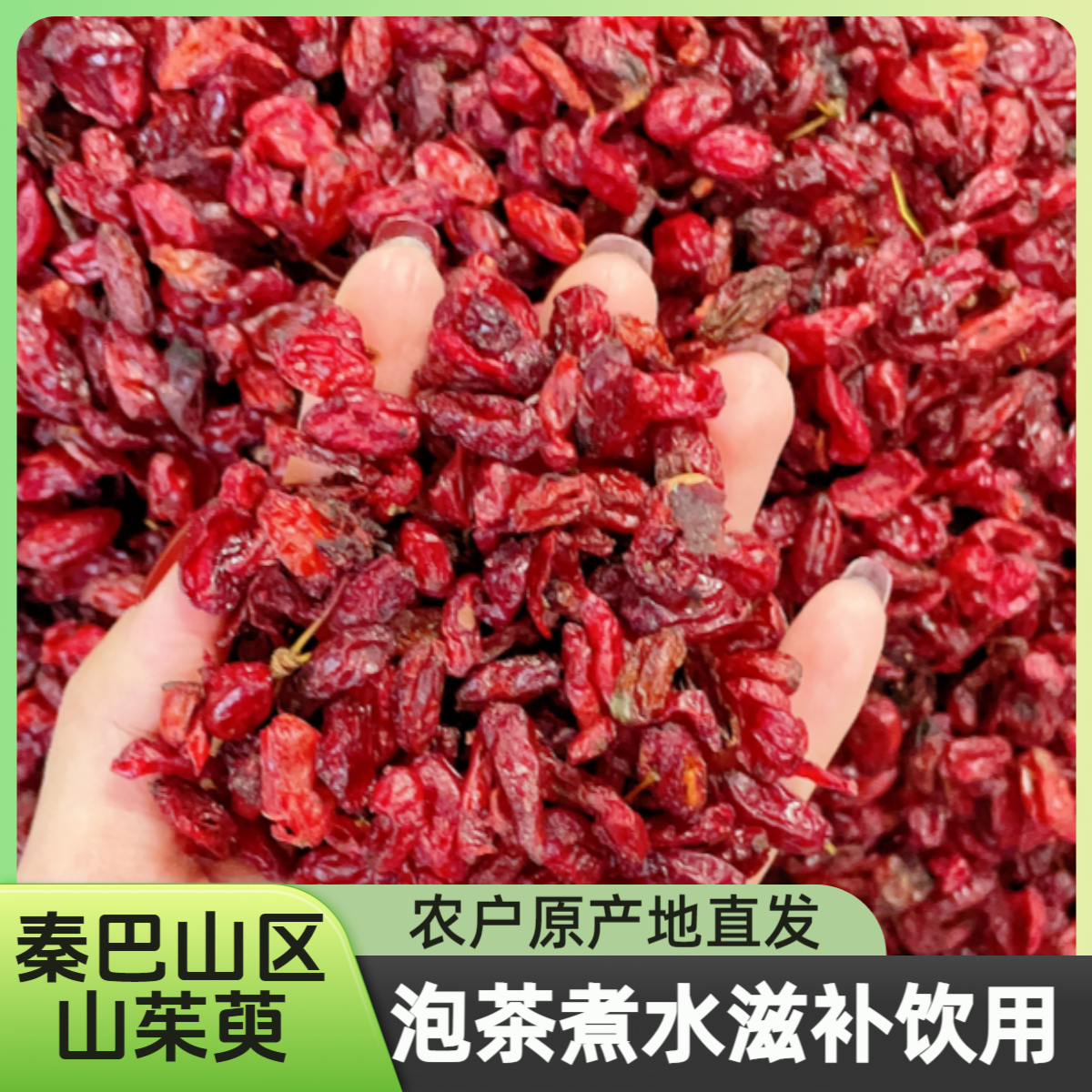 山茱萸泡水喝秦巴山区山茱萸干货秦岭南麓可搭配枸杞当归泡水喝