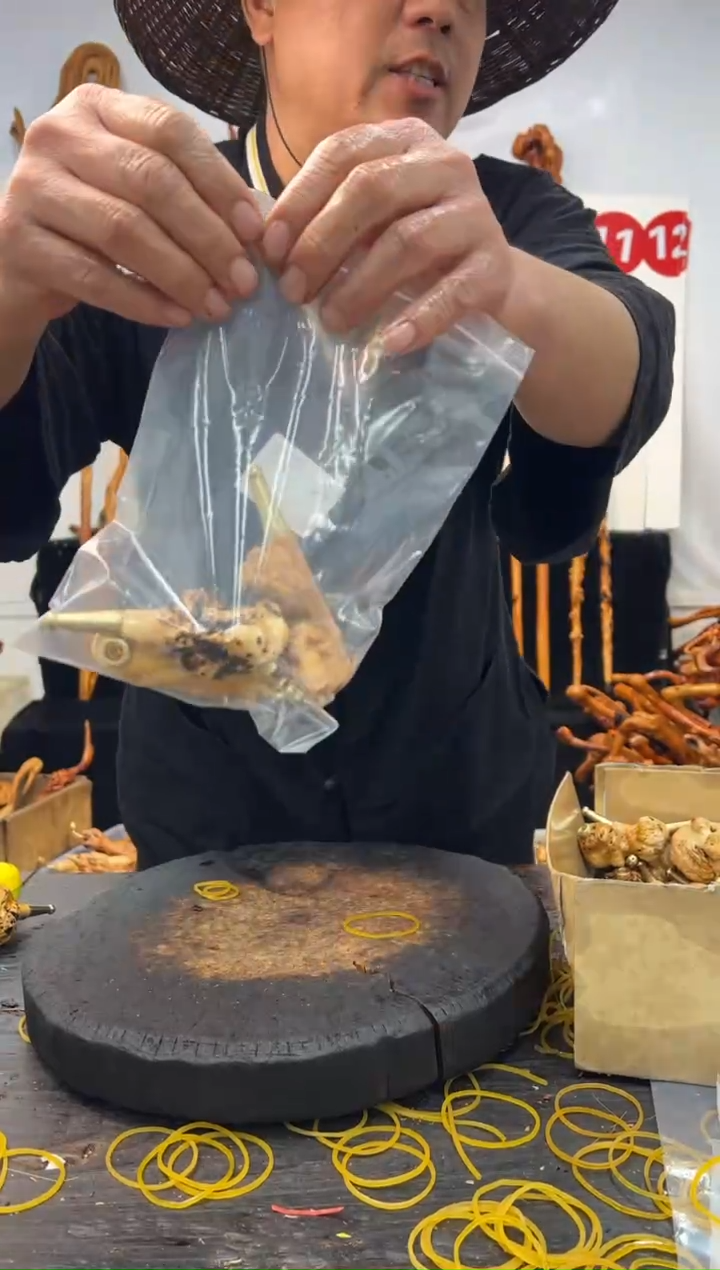 黑果木其他黑果木232