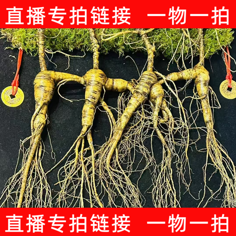 [九玥家推荐]改价专用长白山人参鲜下参人参煲汤泡酒营养源头产地