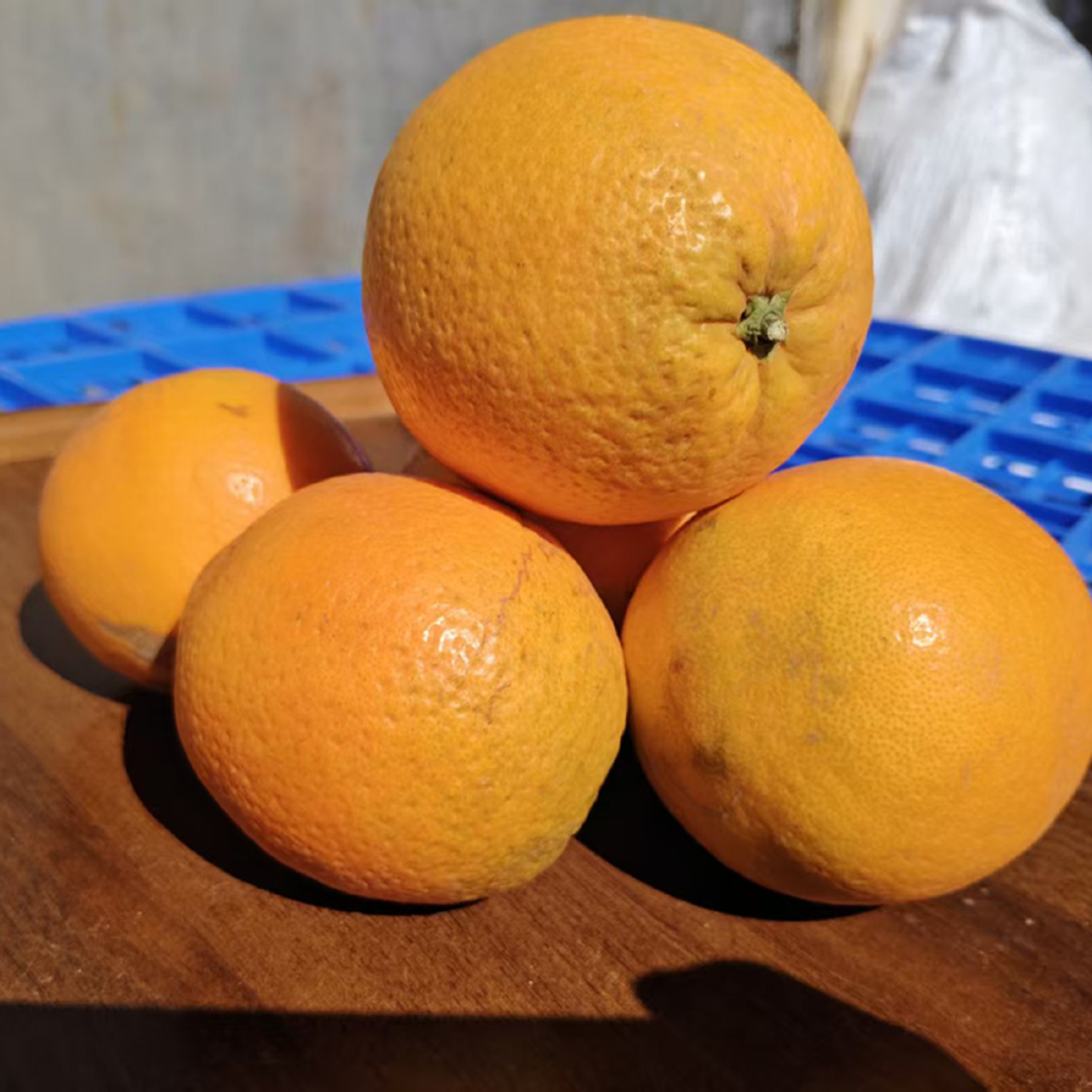 【阿豪精选】农家脐橙 
