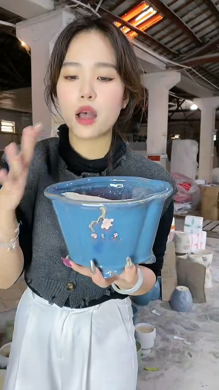 【闪购商品】陶瓷瑕疵 造型蓝梅花