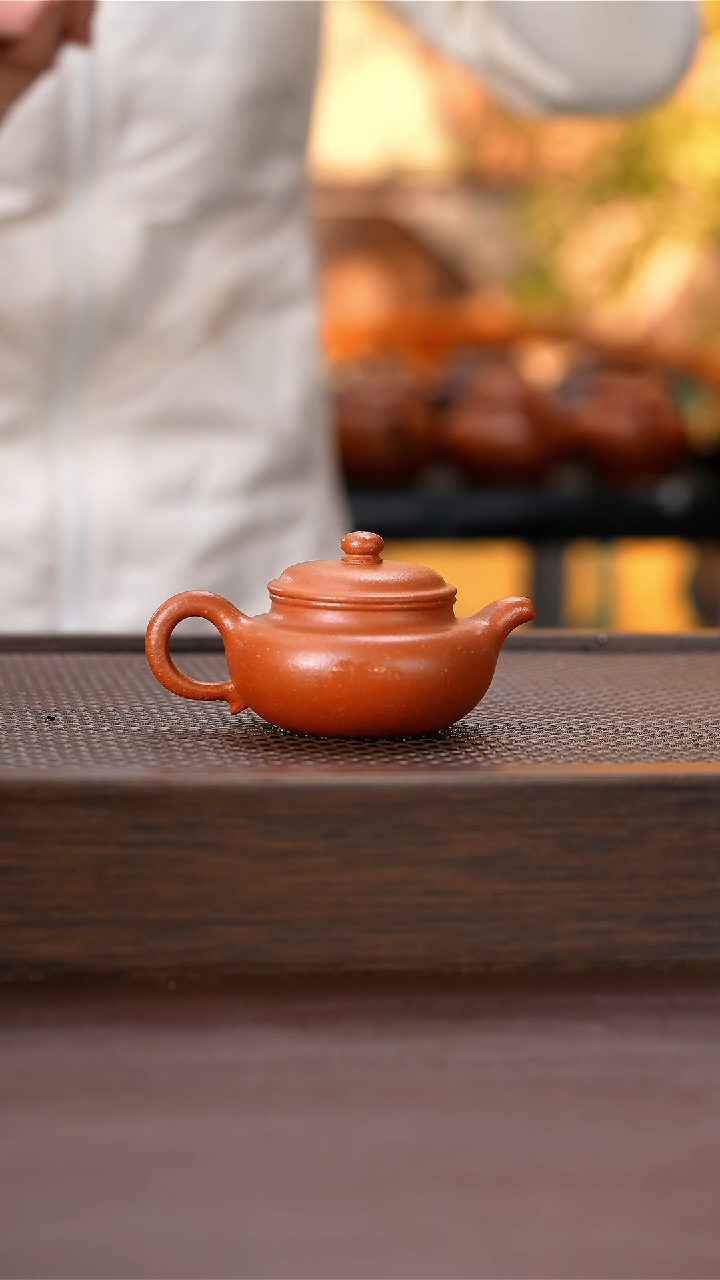 【闪购商品】紫砂茶壶原矿手工紫砂壶1把