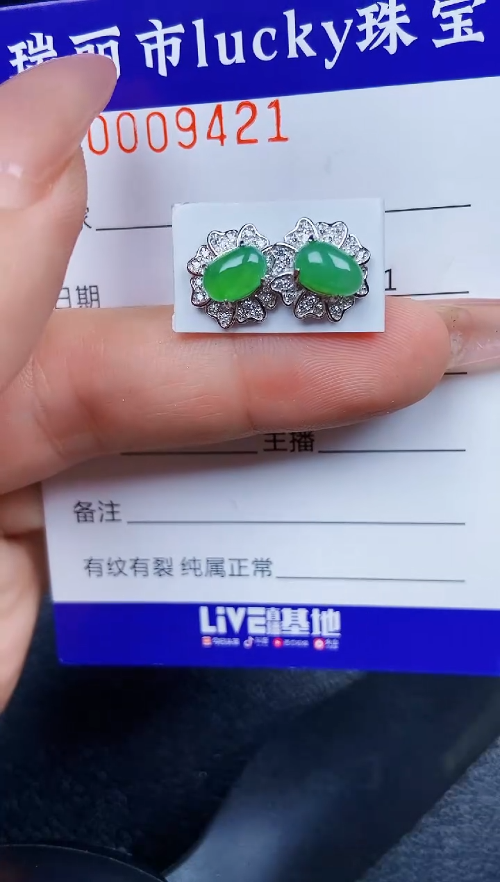 翡翠银S925镶嵌颈饰9421