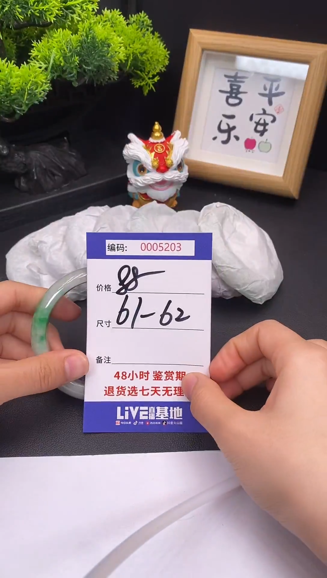 未镶嵌手镯翡翠0005204