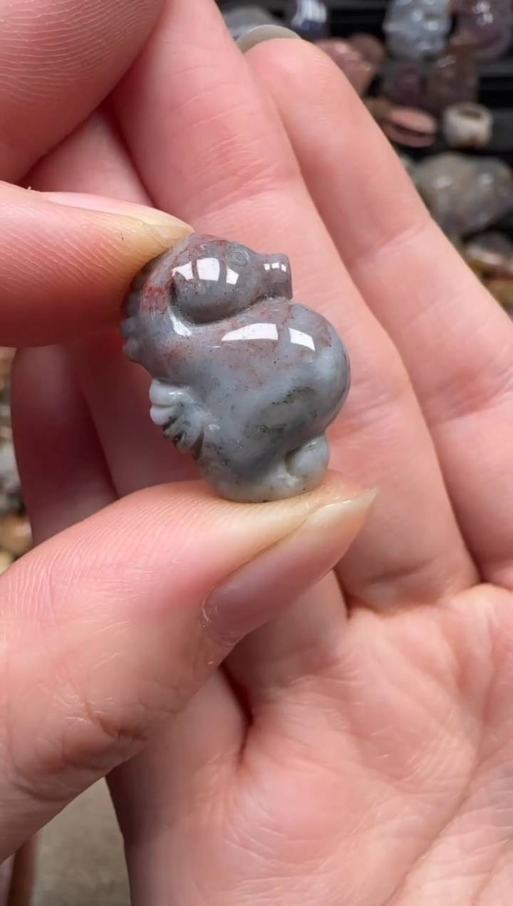 颈饰未镶嵌硅化珊瑚（珊瑚玉）557