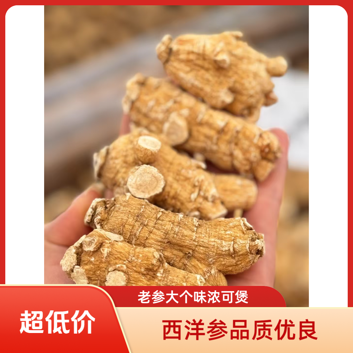 西洋参足龄老参大个头参味浓郁回甘可煲汤泡水可以切片，好品质