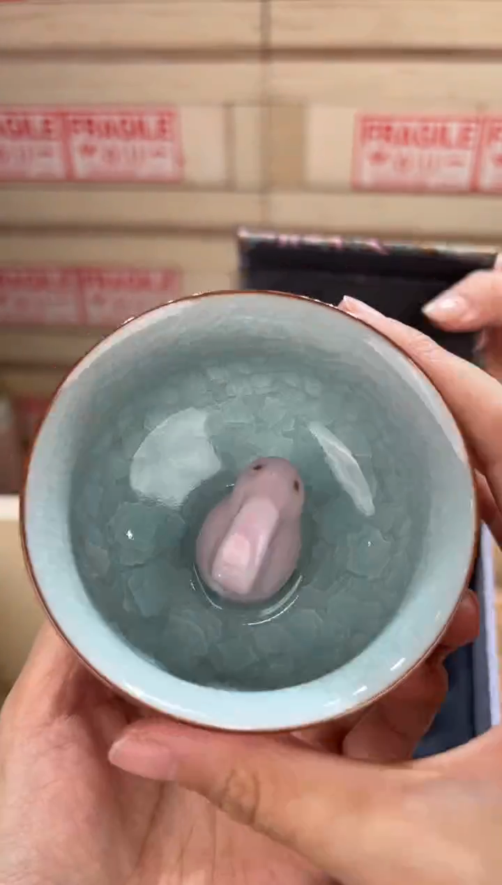 @@@@@@茶具@@@@@@@1576