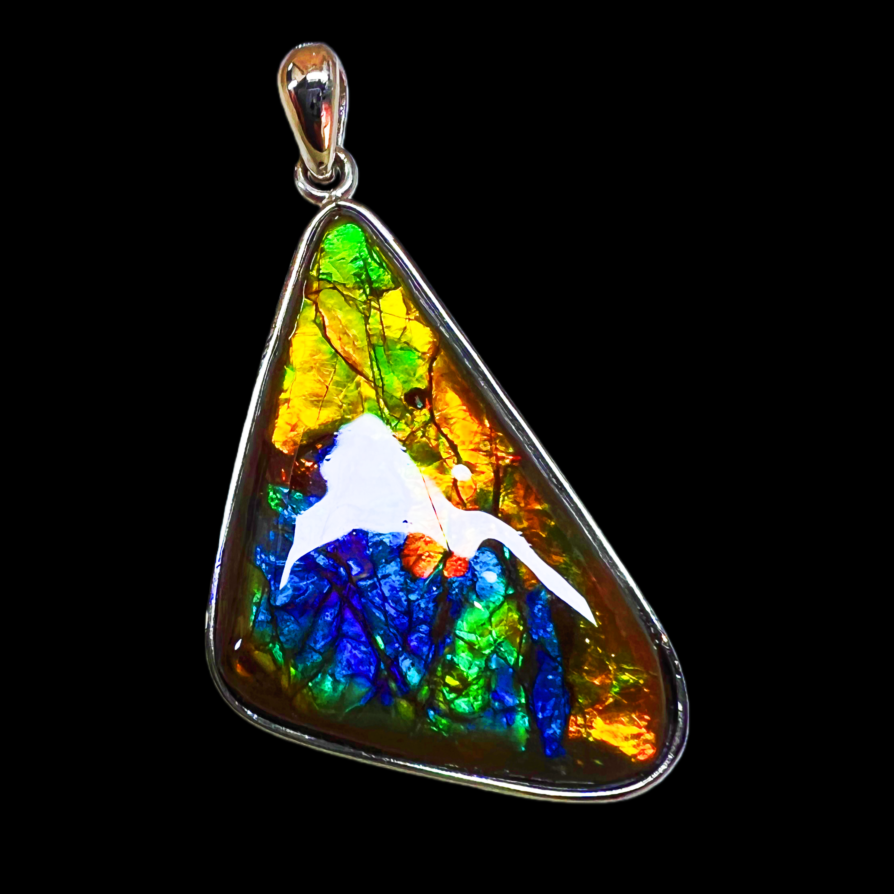 【斑彩】33.5mm 加拿大 N-25  DZ-E  贝壳创意饰品 E269