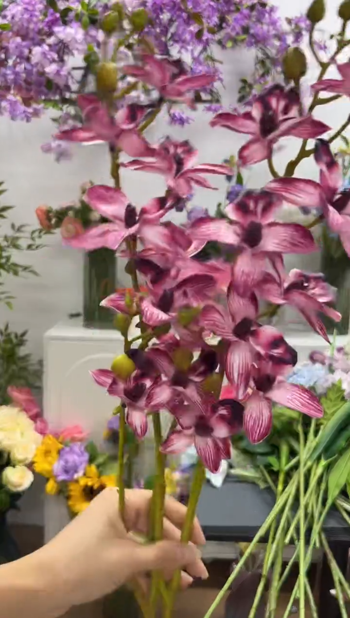 2枝酒红手感千鸟兰