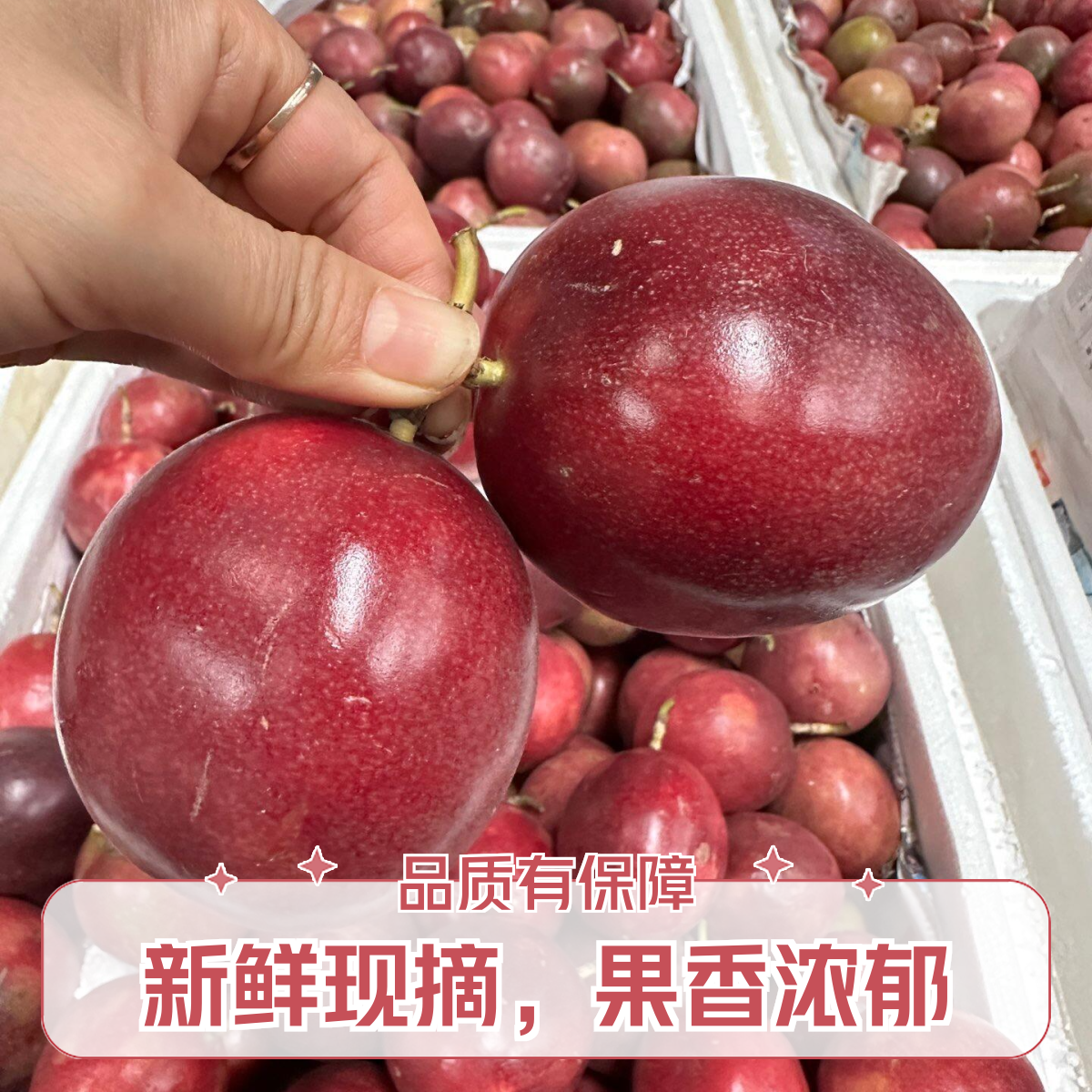 蜜宝百香果水果大果净果3斤紫百香果辽宁省