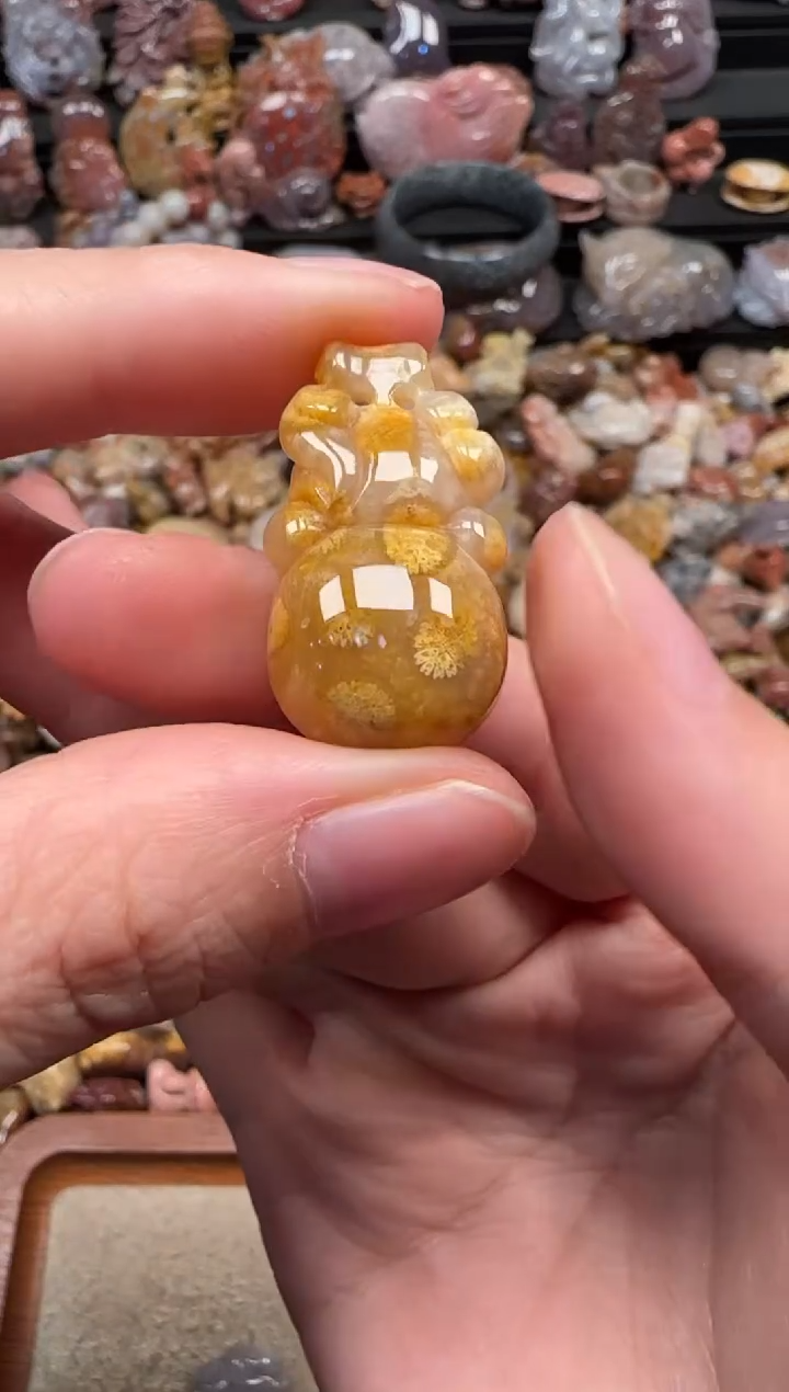 颈饰未镶嵌硅化珊瑚（珊瑚玉）158