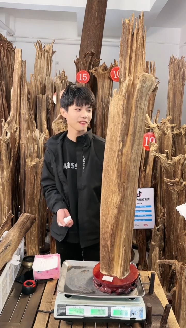 【闪购商品】沉香摆件沉香摆件多样性发一件21