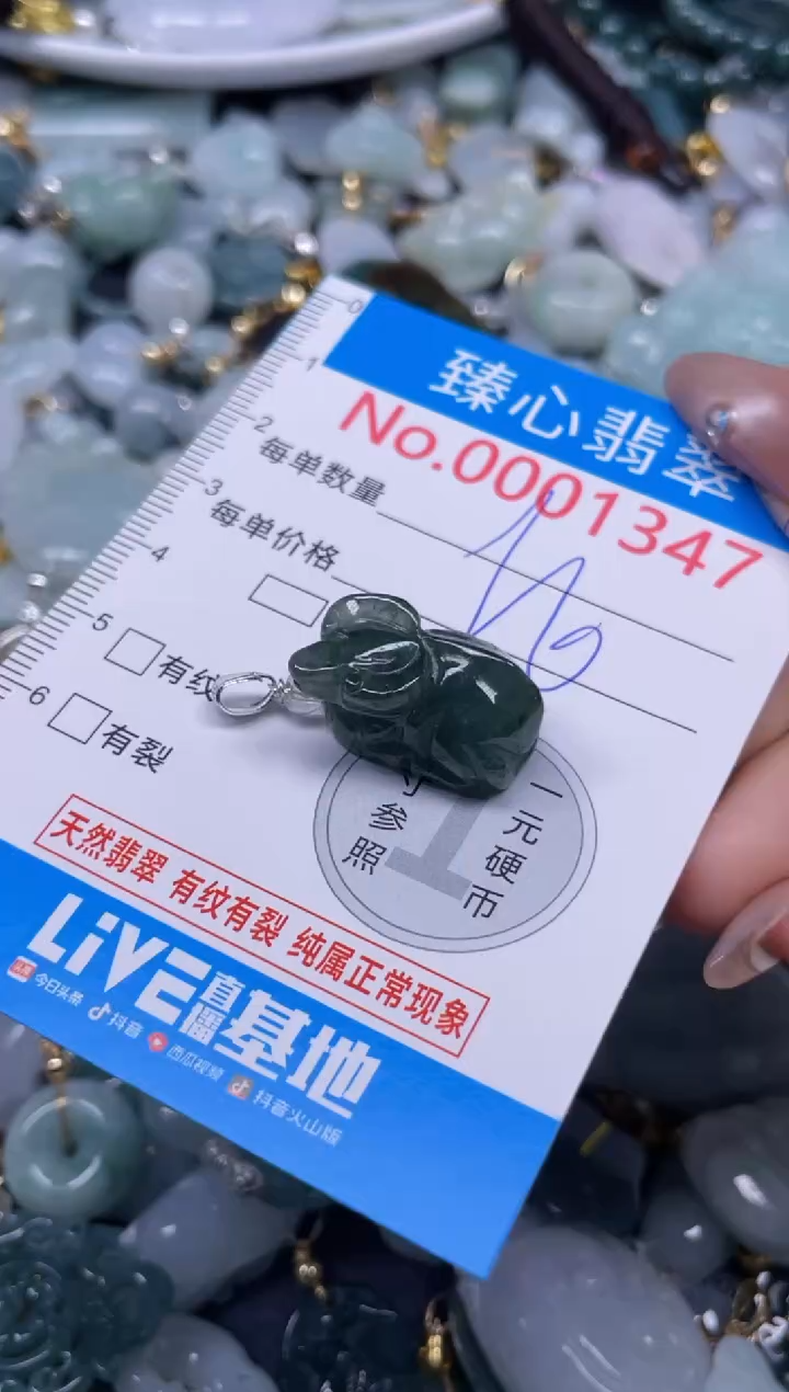 颈饰未镶嵌翡翠1347