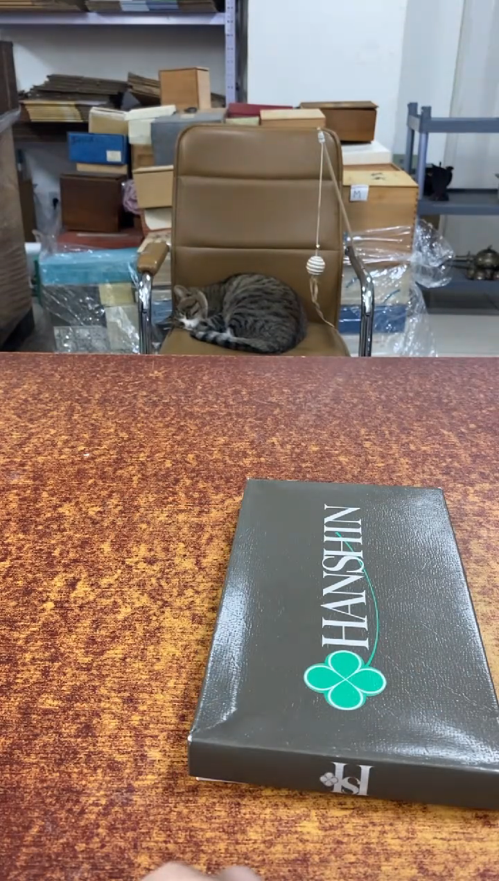 瓷片488小林轩欢迎您