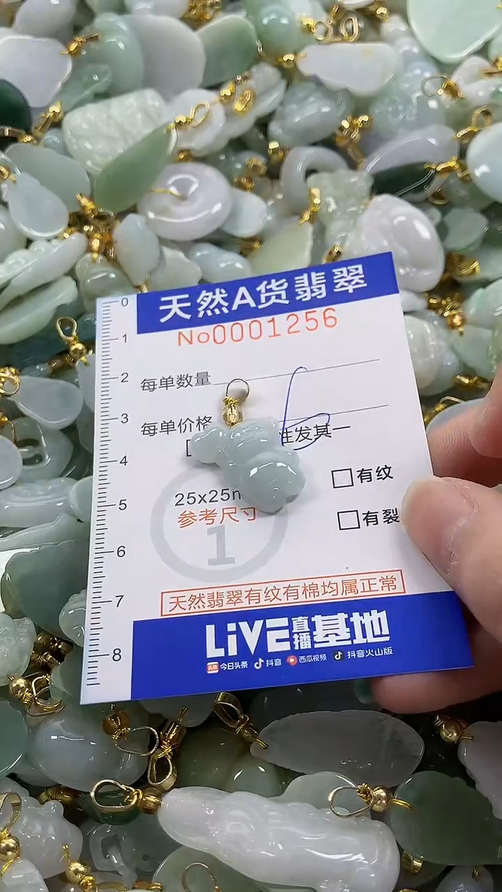 颈饰未镶嵌翡翠纯天然货翡翠