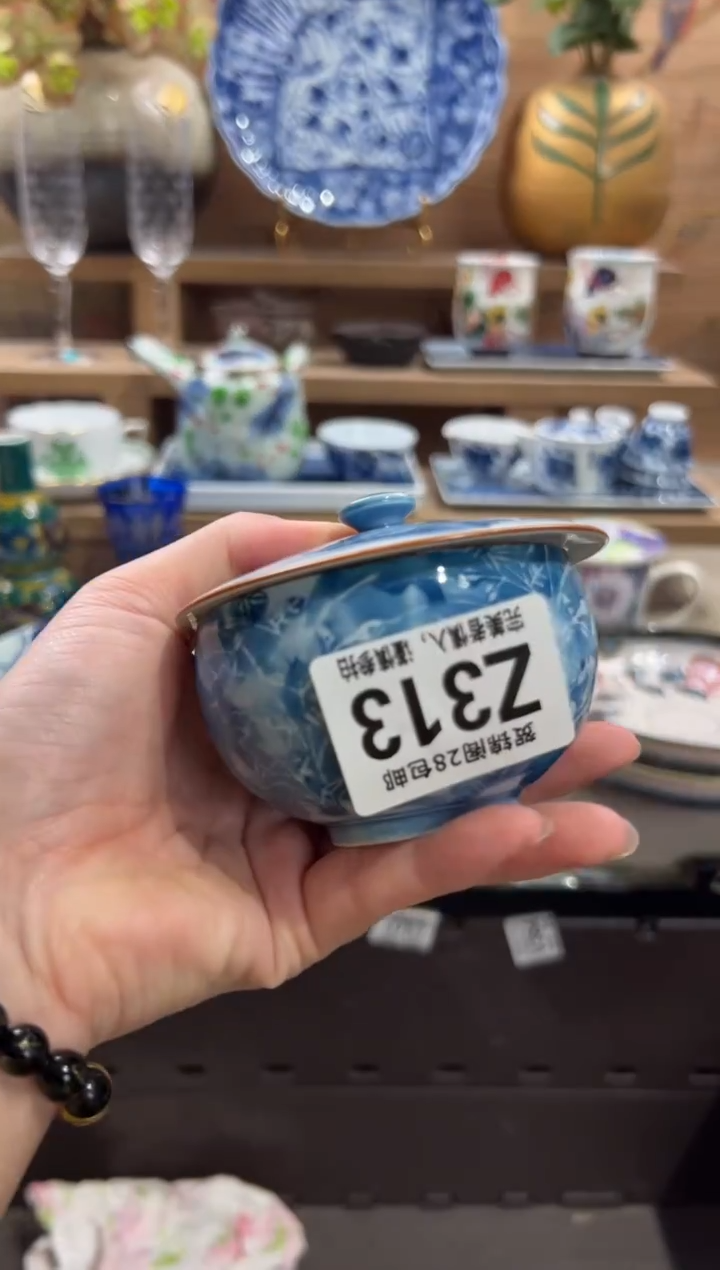 瓷片无*       Z313