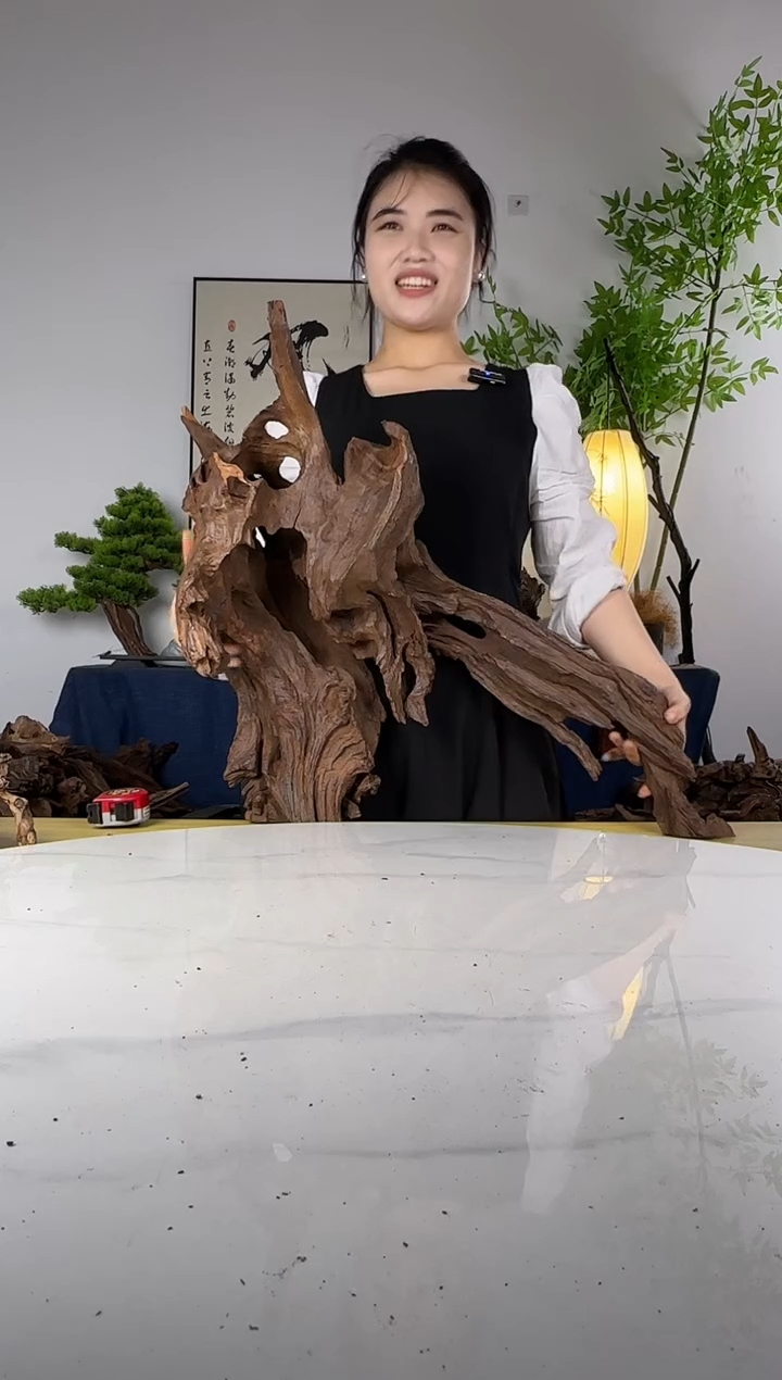 吉*沉木定向编号47