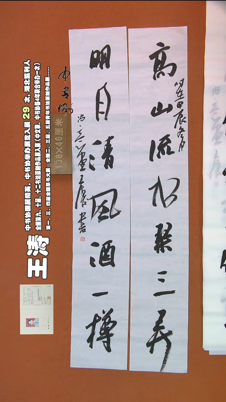 【闪购商品】书法298王涛书法作品