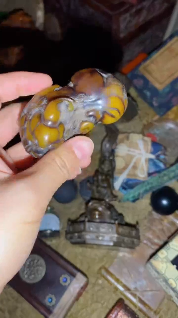 香榧木一一一一一福利