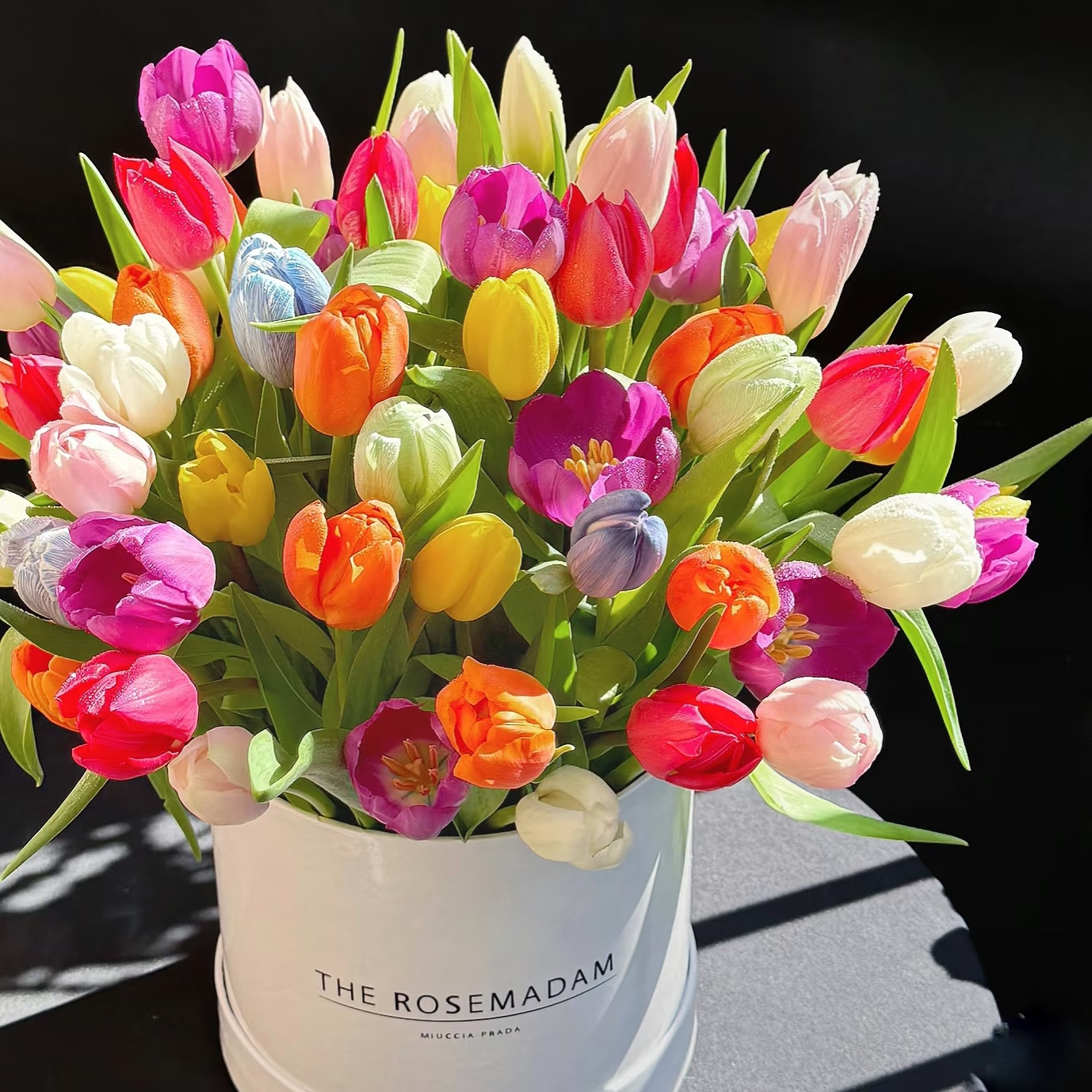 （牛家甄选）随机色郁金香鲜花  云南鲜花基地现采现发 一单也包邮