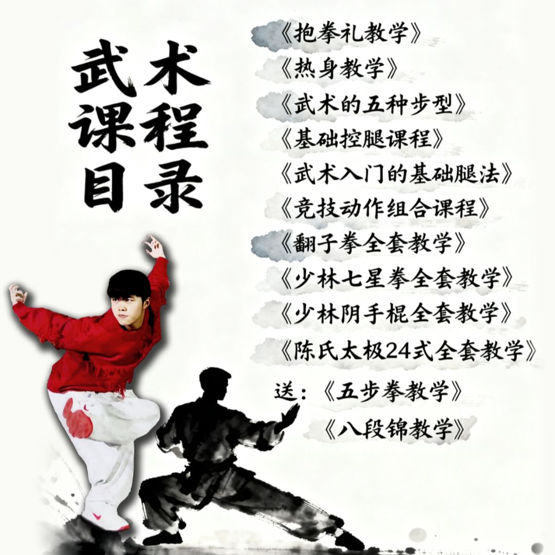 宝马龙兵器、拳法、太极、八段锦全面教学