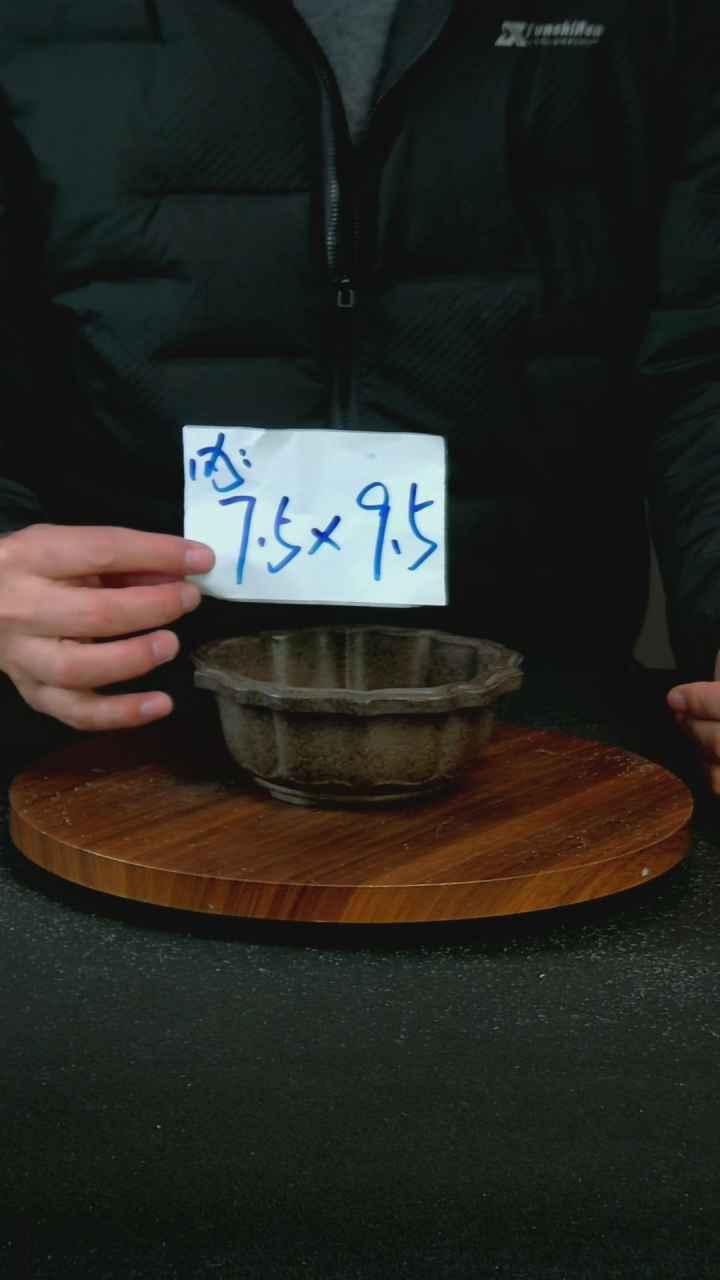 【闪购商品】紫砂A3