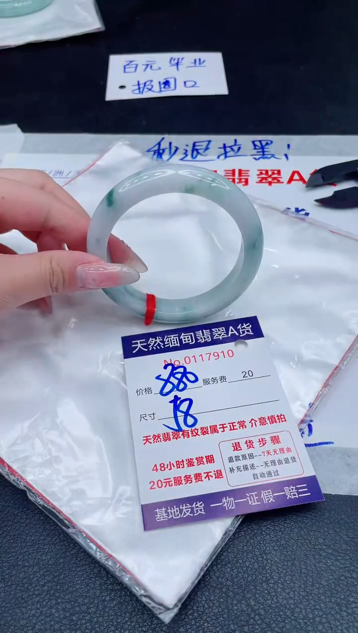 未镶嵌手镯翡翠1