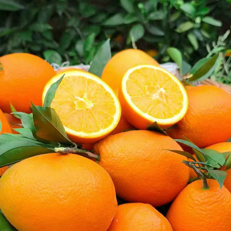 正宗奉节脐橙新鲜现摘现发爆甜多汁应季水果4.5斤