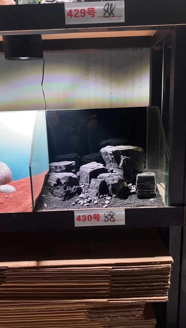 430号鱼缸造景（不含底砂）