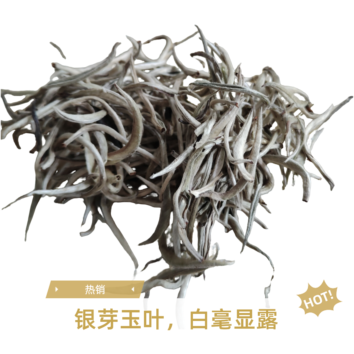 云南特级白毫银针全芽头白茶毫香花香蜜香清甜巴拉那东北杨树蘑菇