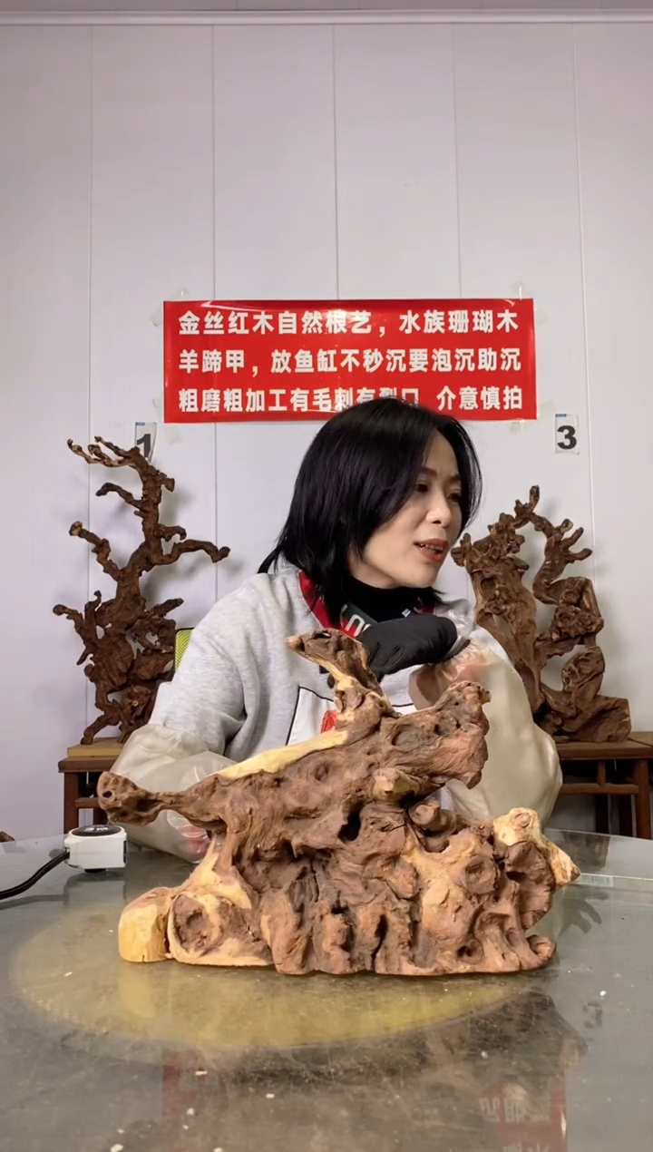 【闪购商品】木30金丝红木 羊蹄甲