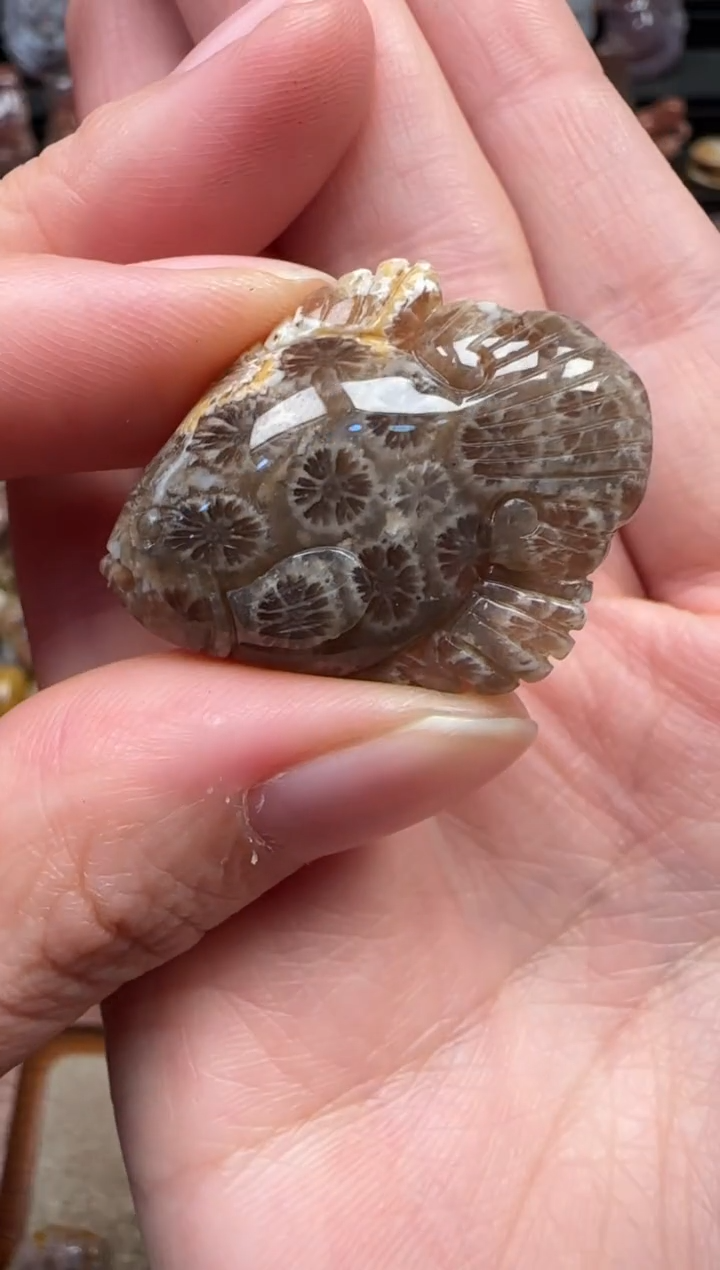颈饰未镶嵌硅化珊瑚（珊瑚玉）375