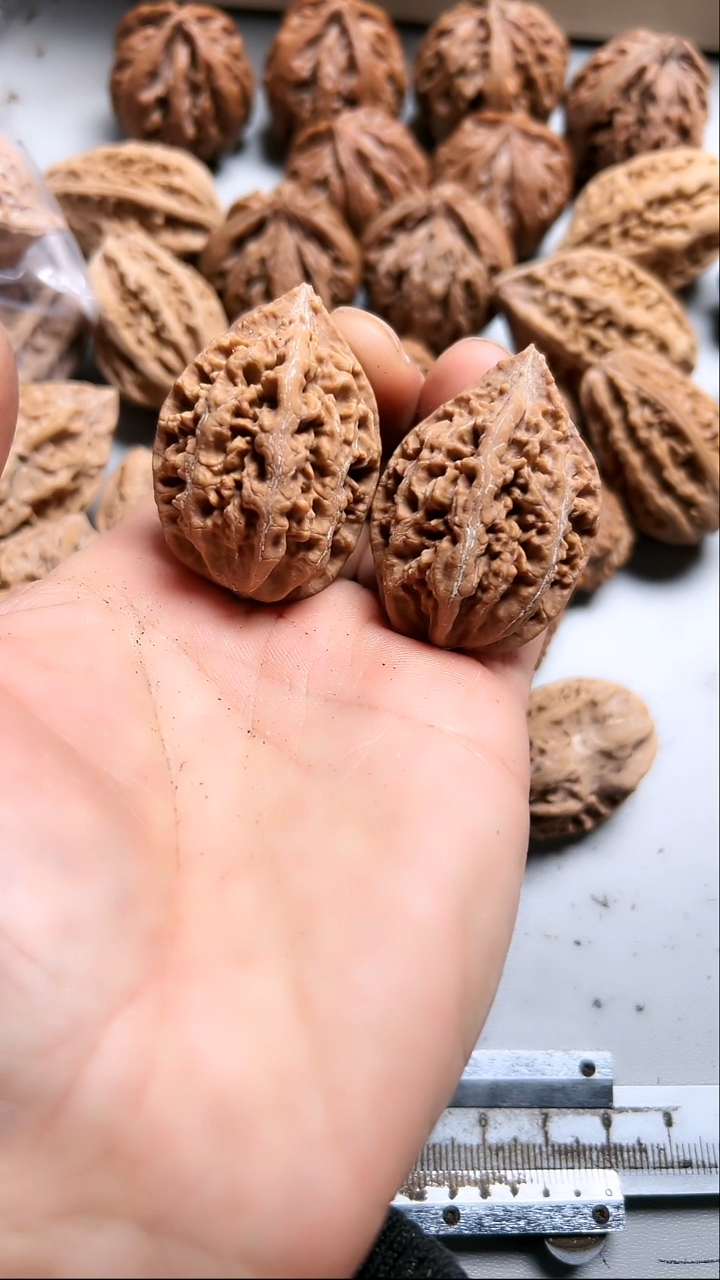 核桃东北野生大秋子7