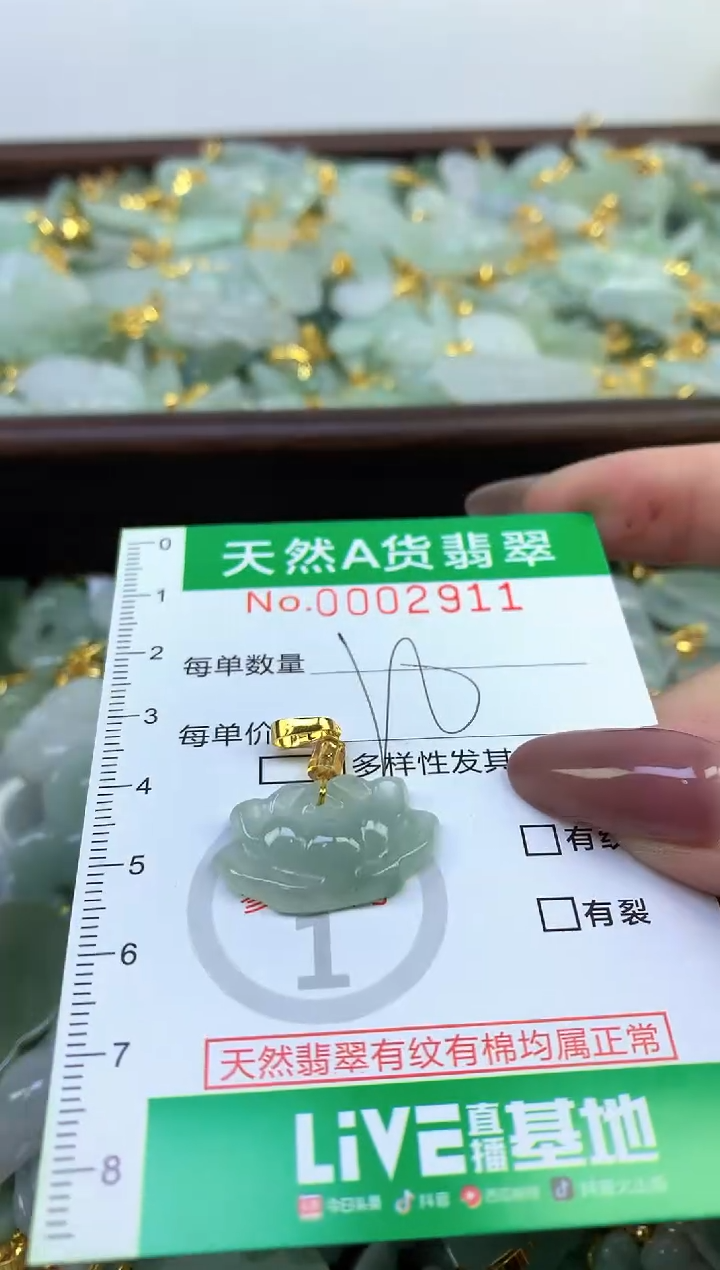 颈饰未镶嵌翡翠纯天然缅甸A货翡翠
