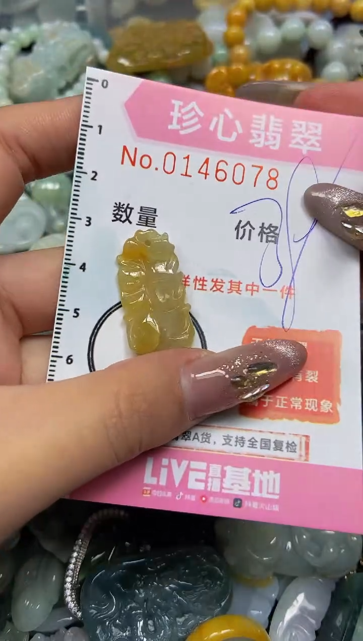 【闪购商品】翡翠颈饰未镶嵌闪购0146078