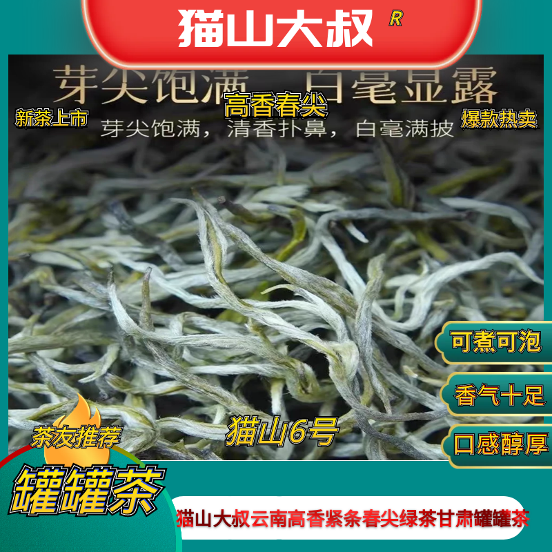 【安万推荐新猫山6号】2025年新茶云南高香春尖绿茶兰州甘肃罐罐茶