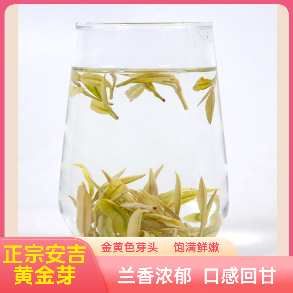 【安吉黄金芽H58】春季新茶安吉原产地特级特级香味茶叶