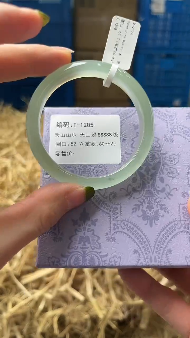 未镶嵌手镯石英质玉D1205